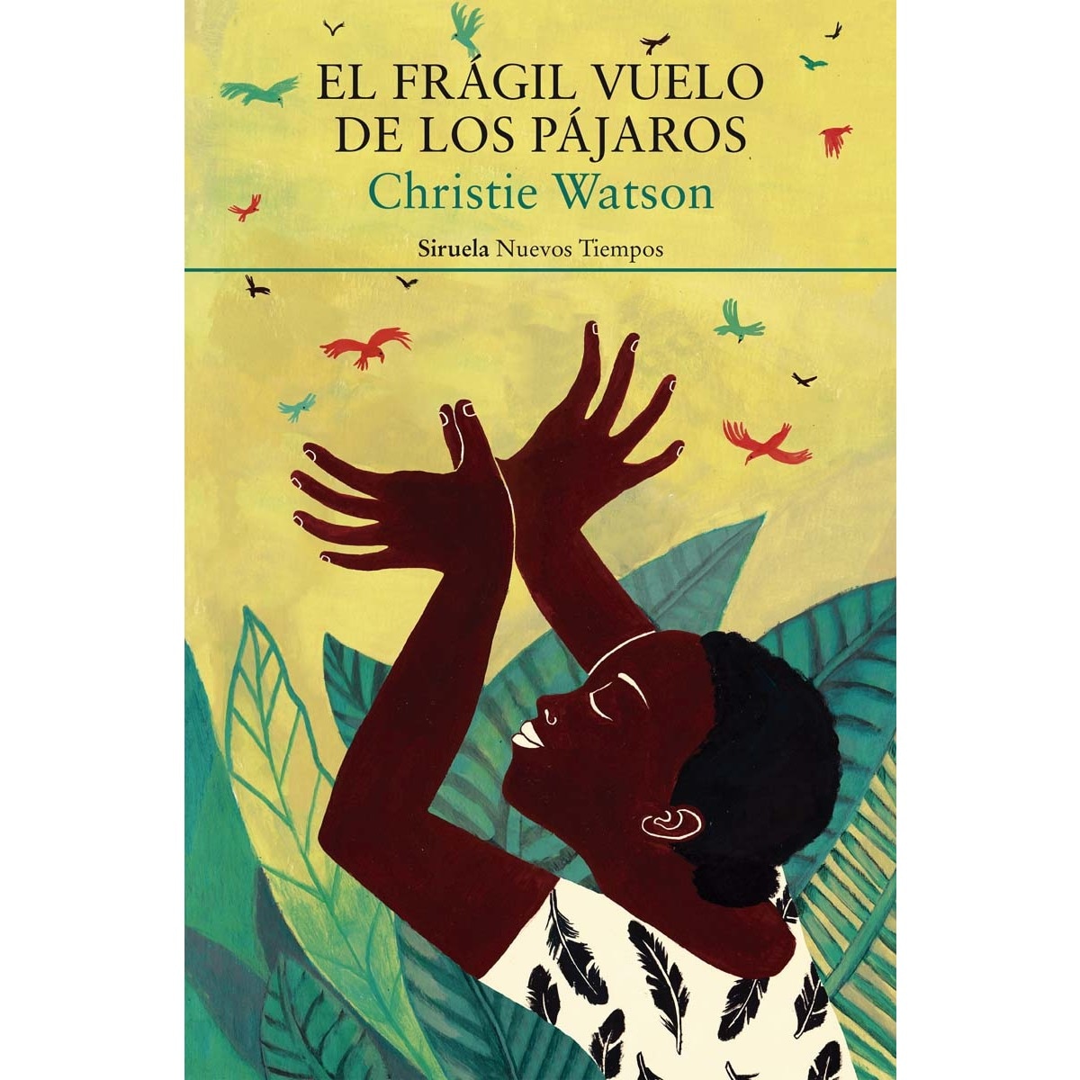 Imagen 0 de El Frágil Vuelo De Los Pájaros