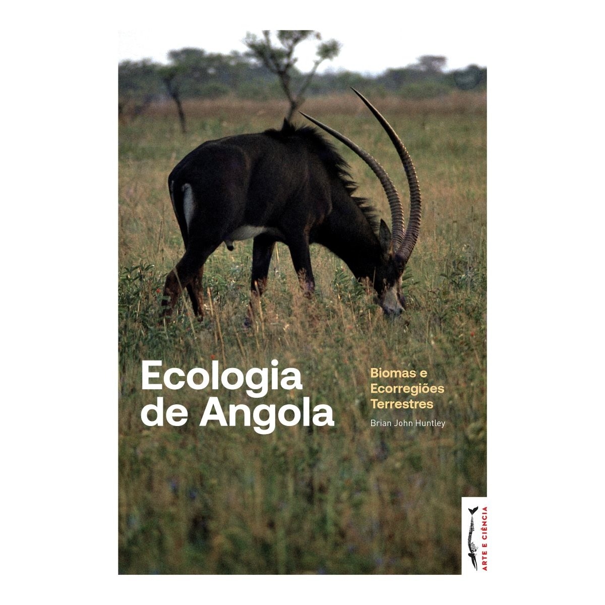 Imagem 0 de Ecologia de angola