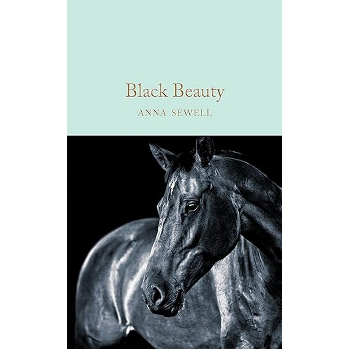Black beauty 1