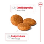 Medium pienso para perros adultos medianos saco 15 kg
