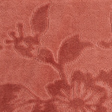Morango