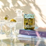 premium large green olives in brine jar 550 ml