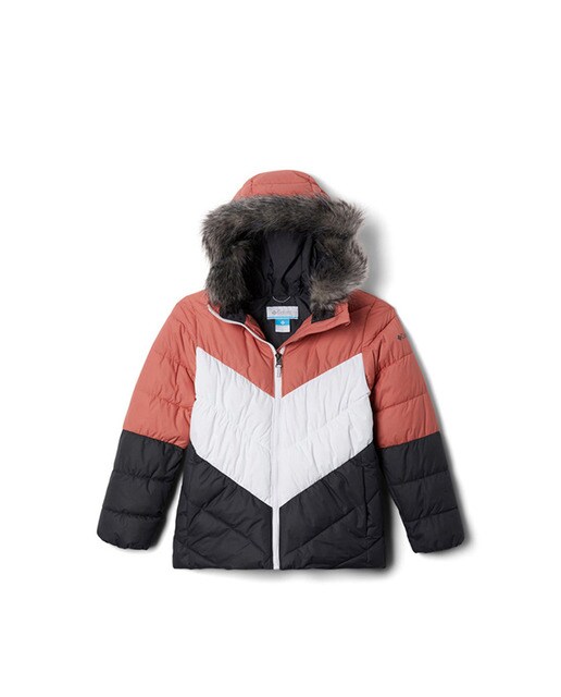 Imagen 0 de Chaqueta Arctic Blast Jacket