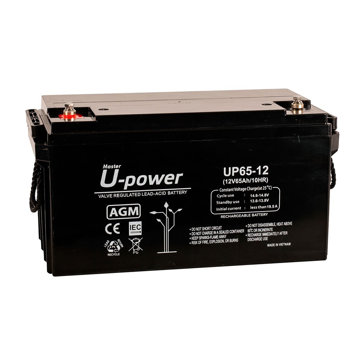 Batería AGM Monoblock UP65-12 12V 69,5Ah Verde-1