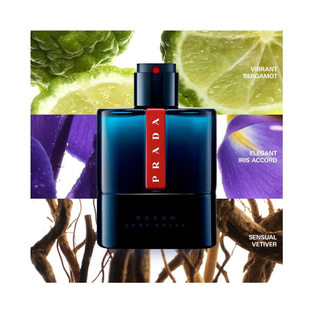 Luna Rossa Ocean Eau de Toilette 100ml Prada 2