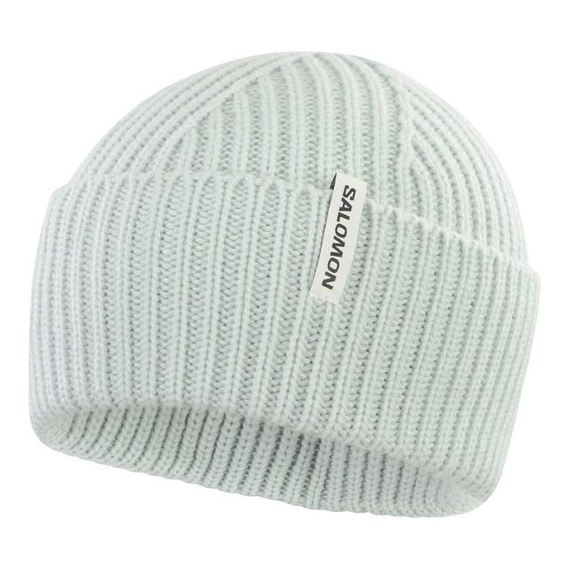 Imagen 0 de Gorro unisex Snowbird Salomon