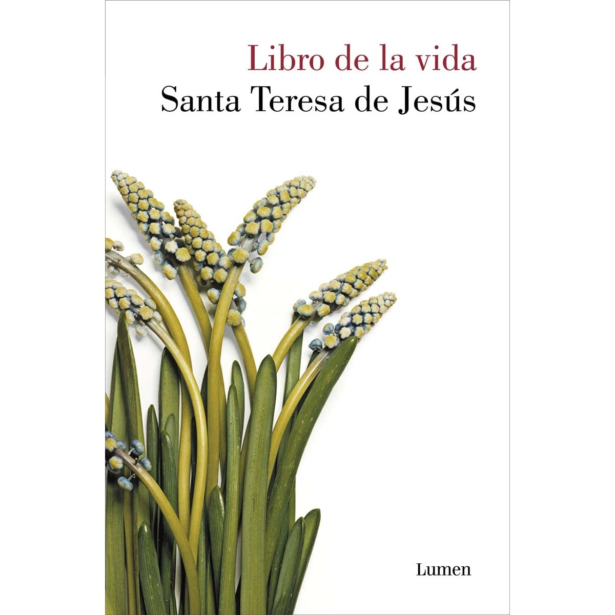 Imagem 0 de El libro de la vida (Capa mole)