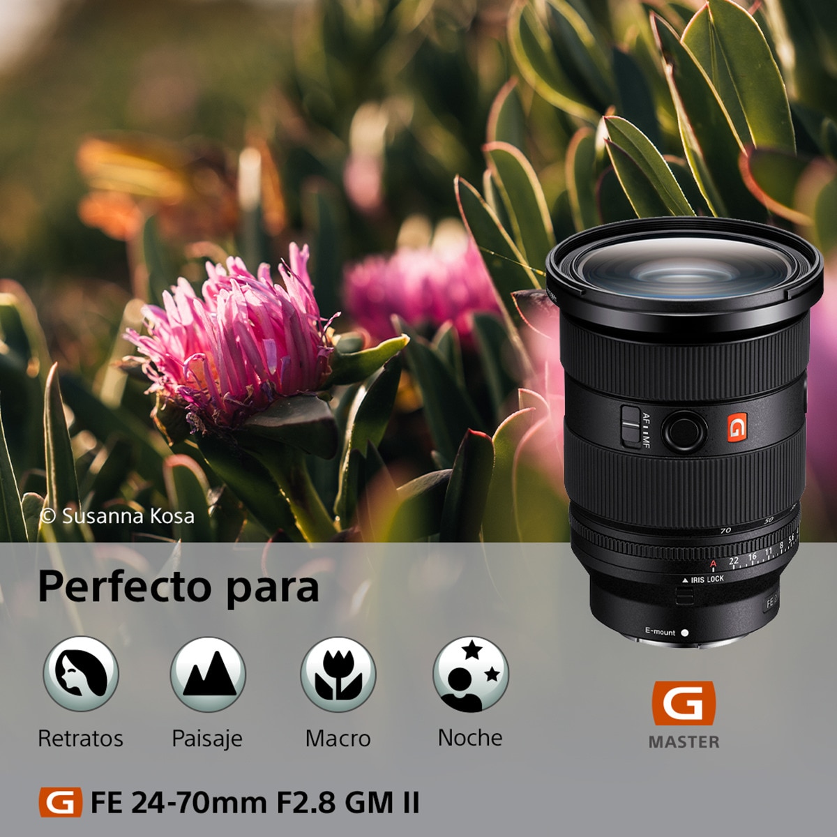 Objetivo Sony FE 24-70 mm F/2.8 G II para montura tipo E de Sony Negro-2