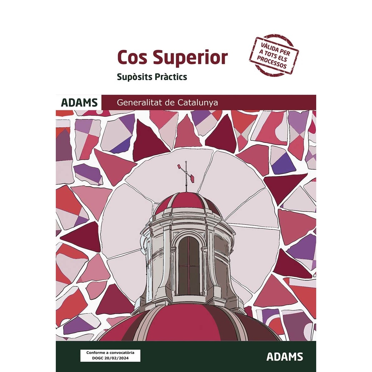 Supòsits pràctics Cos Superior de la Generalitat de Catalunya (Capa mole) 1