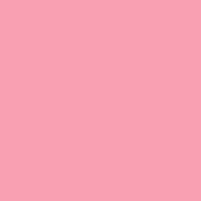 03 Chicle