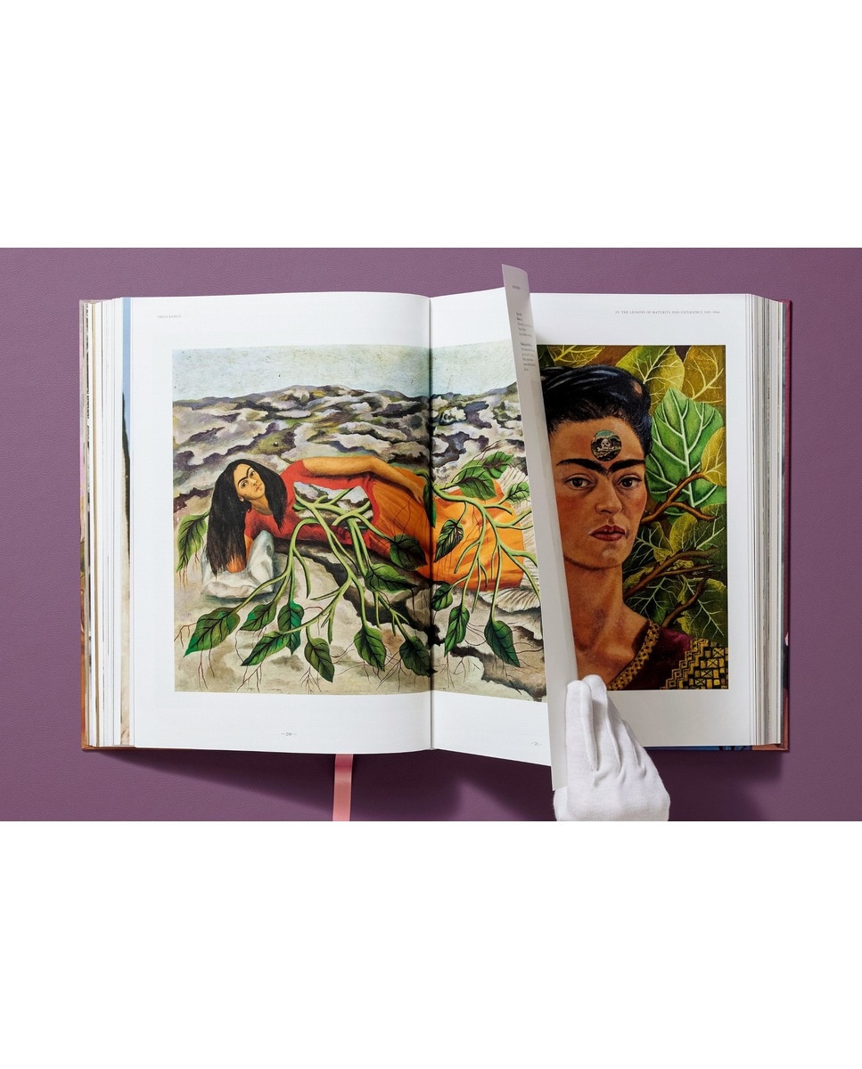 Frida Kahlo. The Complete Paintings (Capa dura) 15