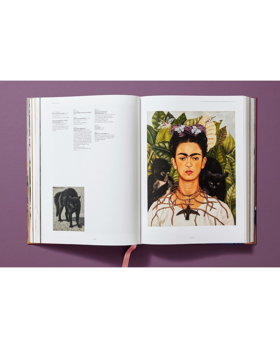 Frida Kahlo. The Complete Paintings (Capa dura) 14