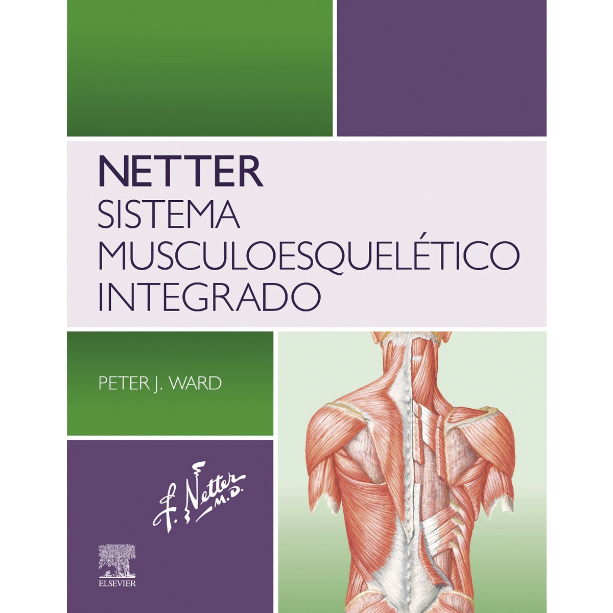 Imagem 0 de Netter. Sistema musculoesquelético integrado (Capa mole)