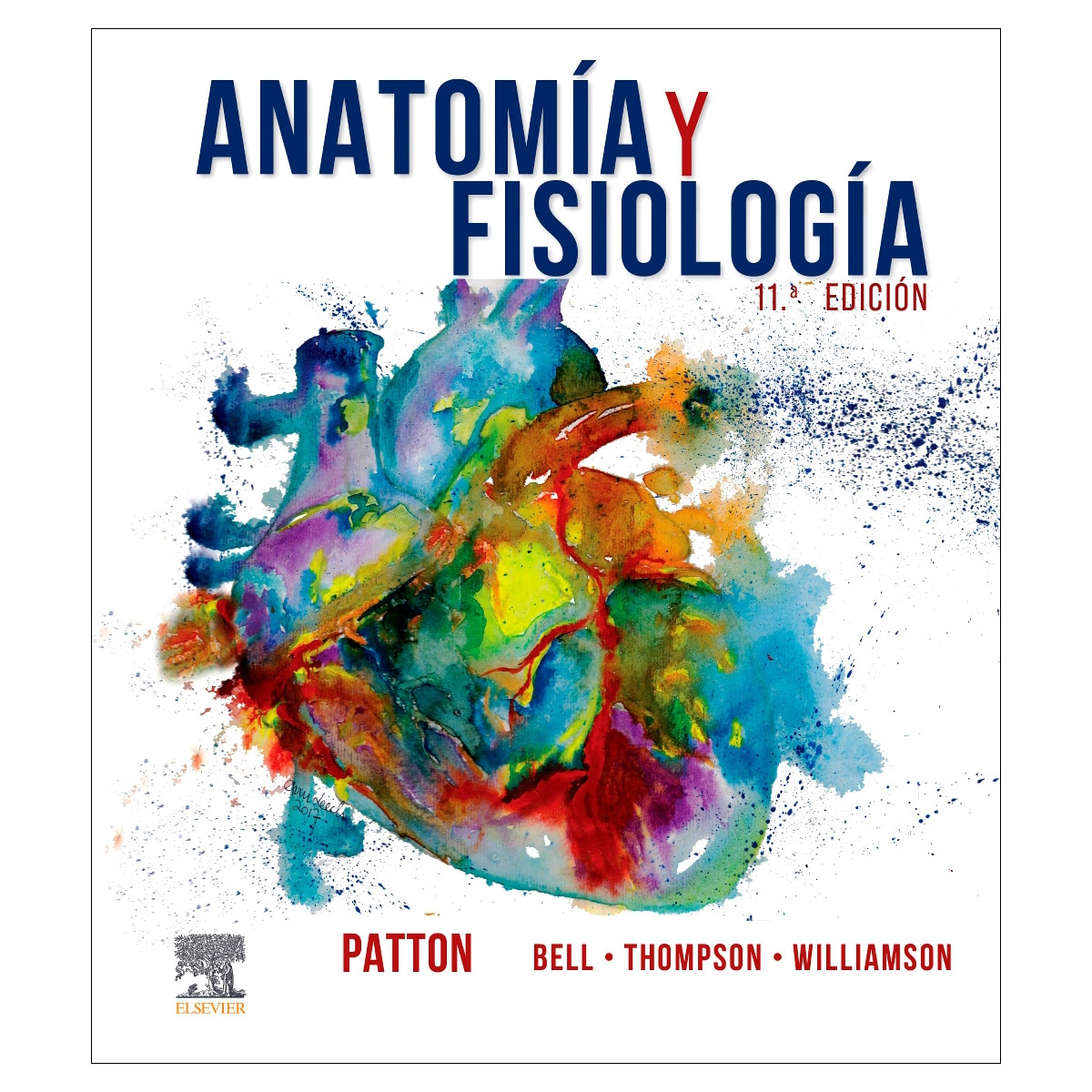 Anatomía y fisiología (Capa mole) 1