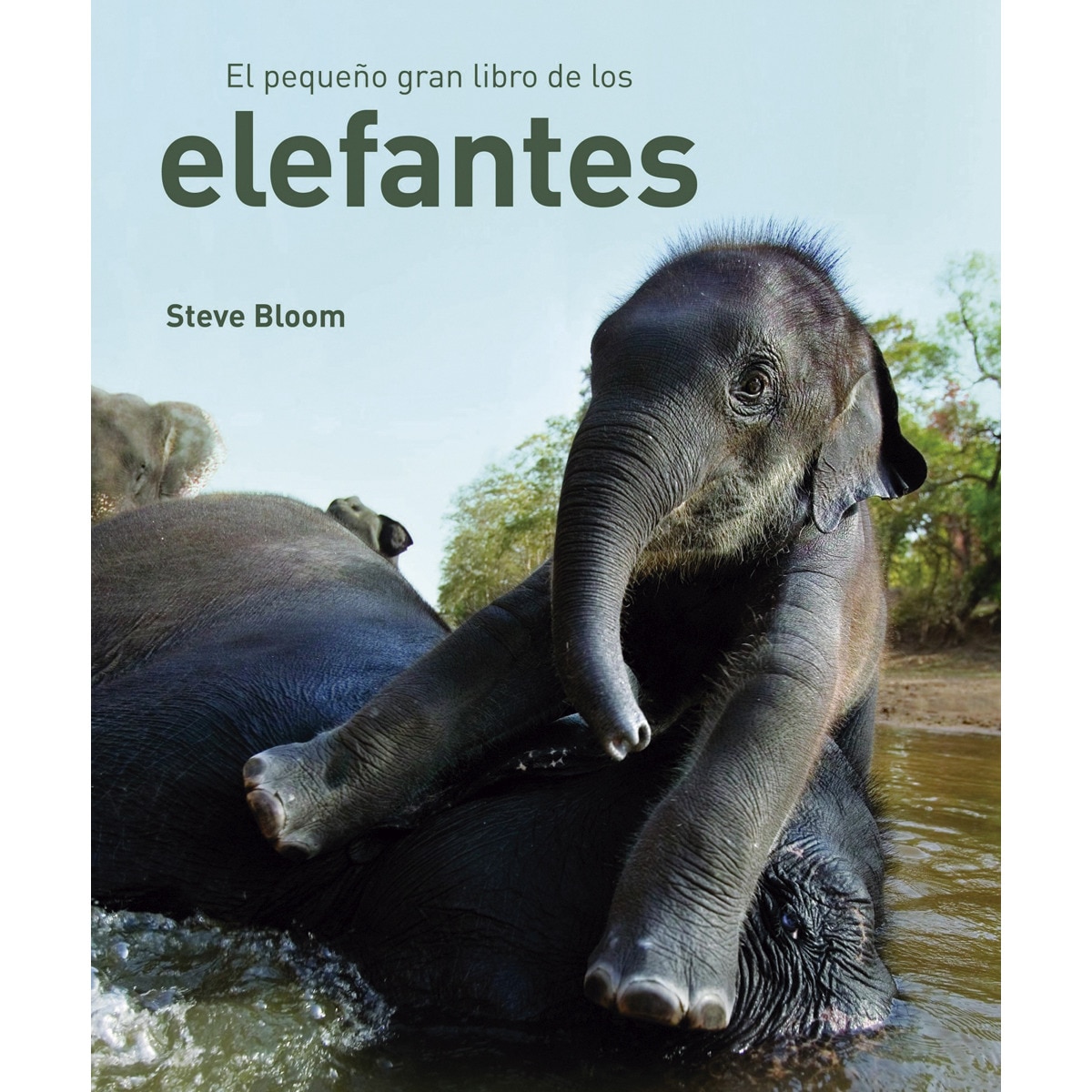 EL PEQUEÑO GRAN LIBRO DE LOS ELEFANTES (Capa dura) 1