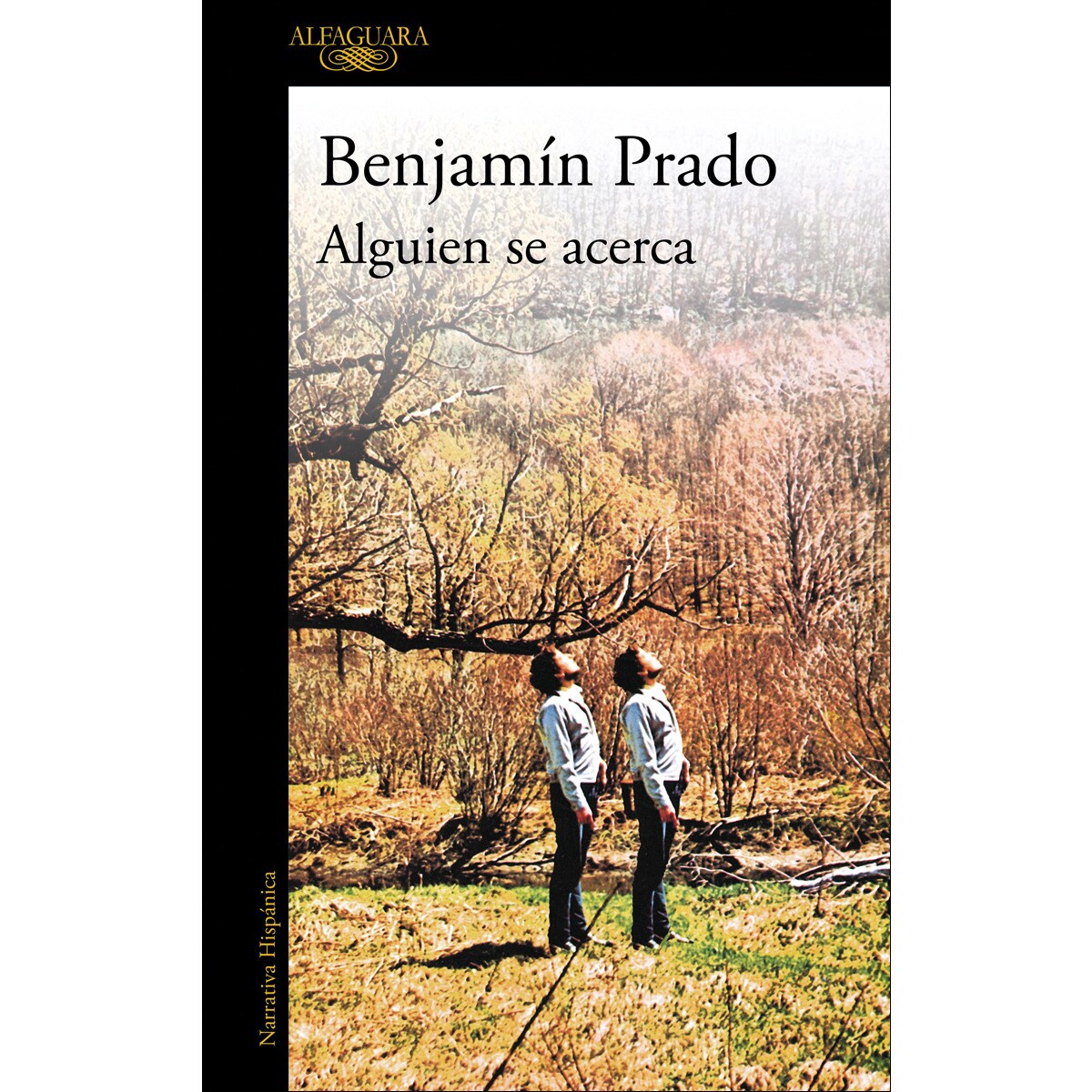 Imagem 0 de Alguien se acerca (Capa mole)