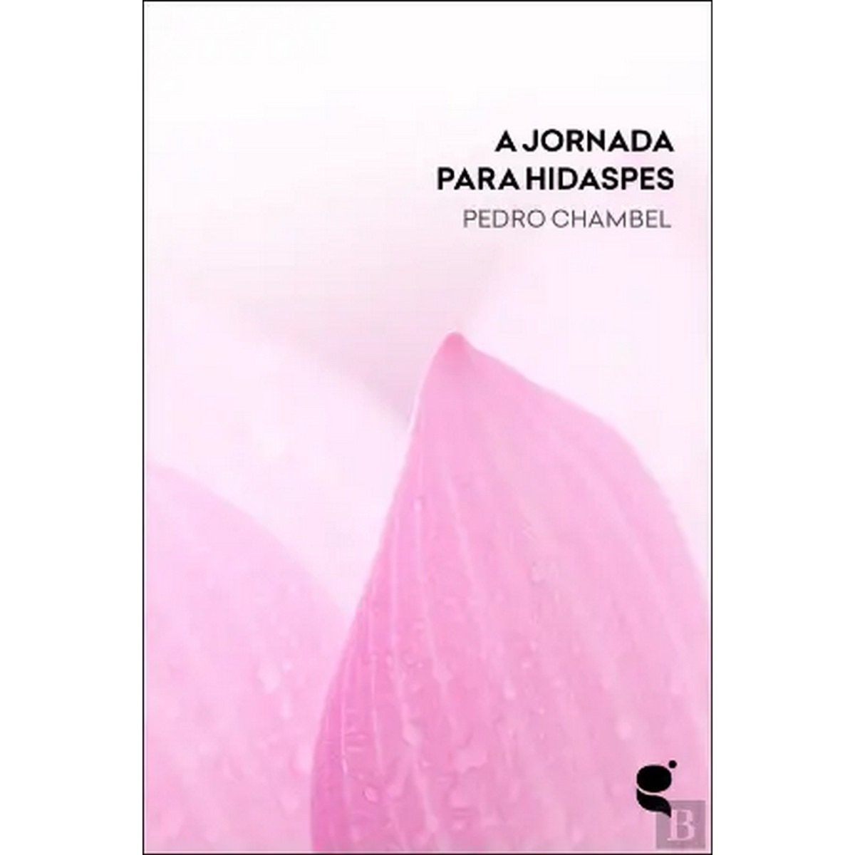 Imagem 0 de A jornada para hidaspes