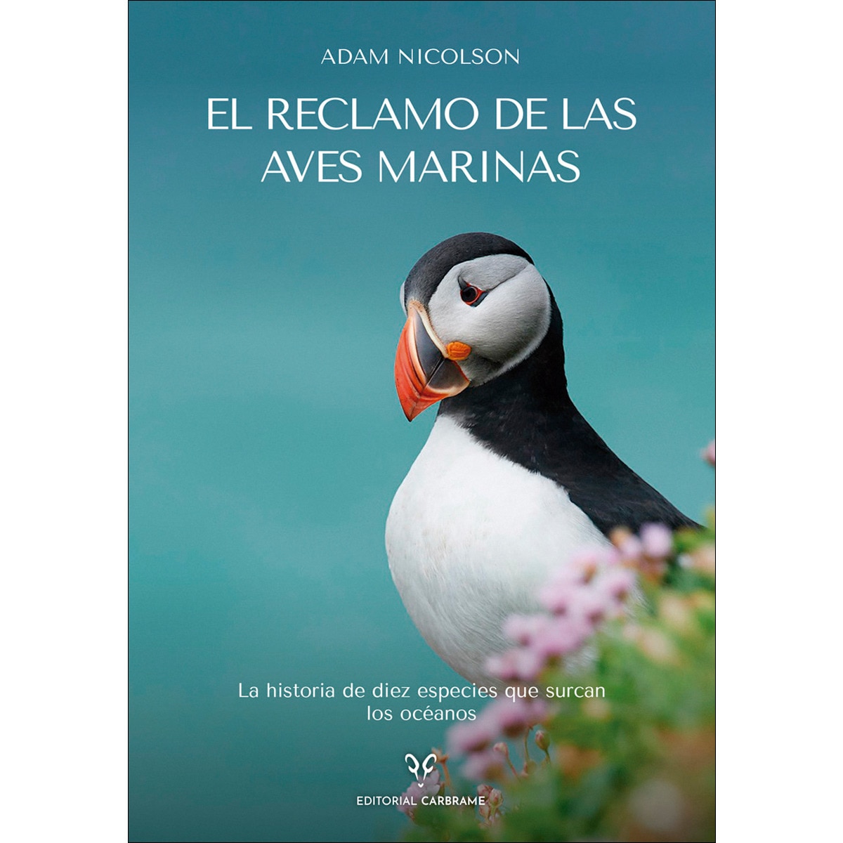 Imagem 0 de El reclamo de las aves marinas: La historia de diez especies que surcan los océanos