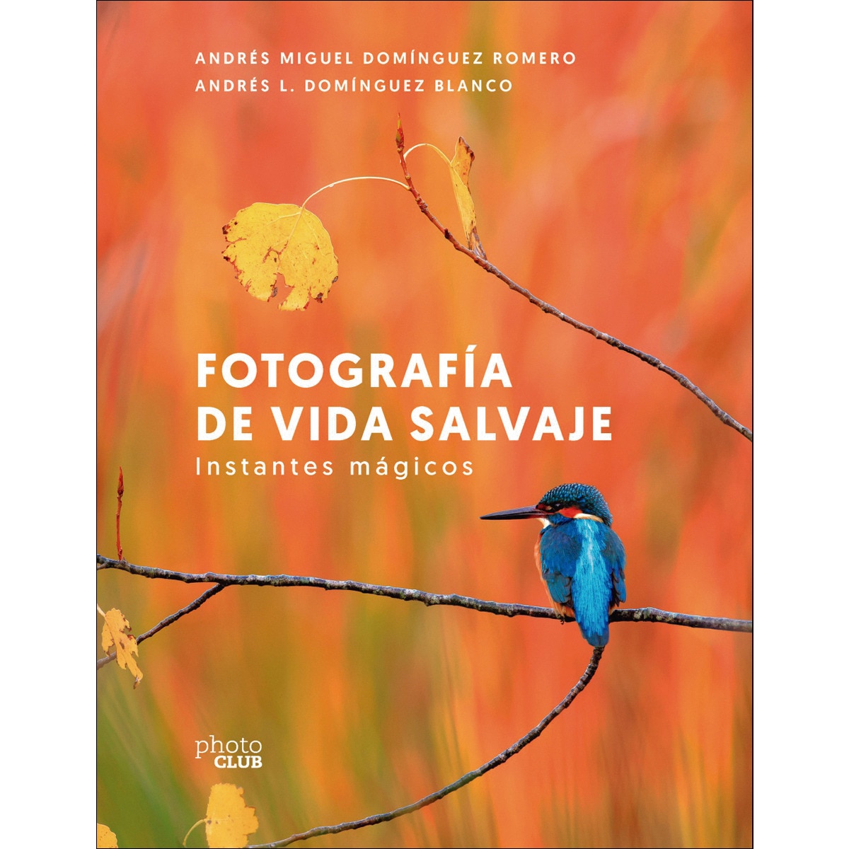 Imagem 0 de Fotografía de vida salvaje. Instantes mágicos (Capa mole com abas)