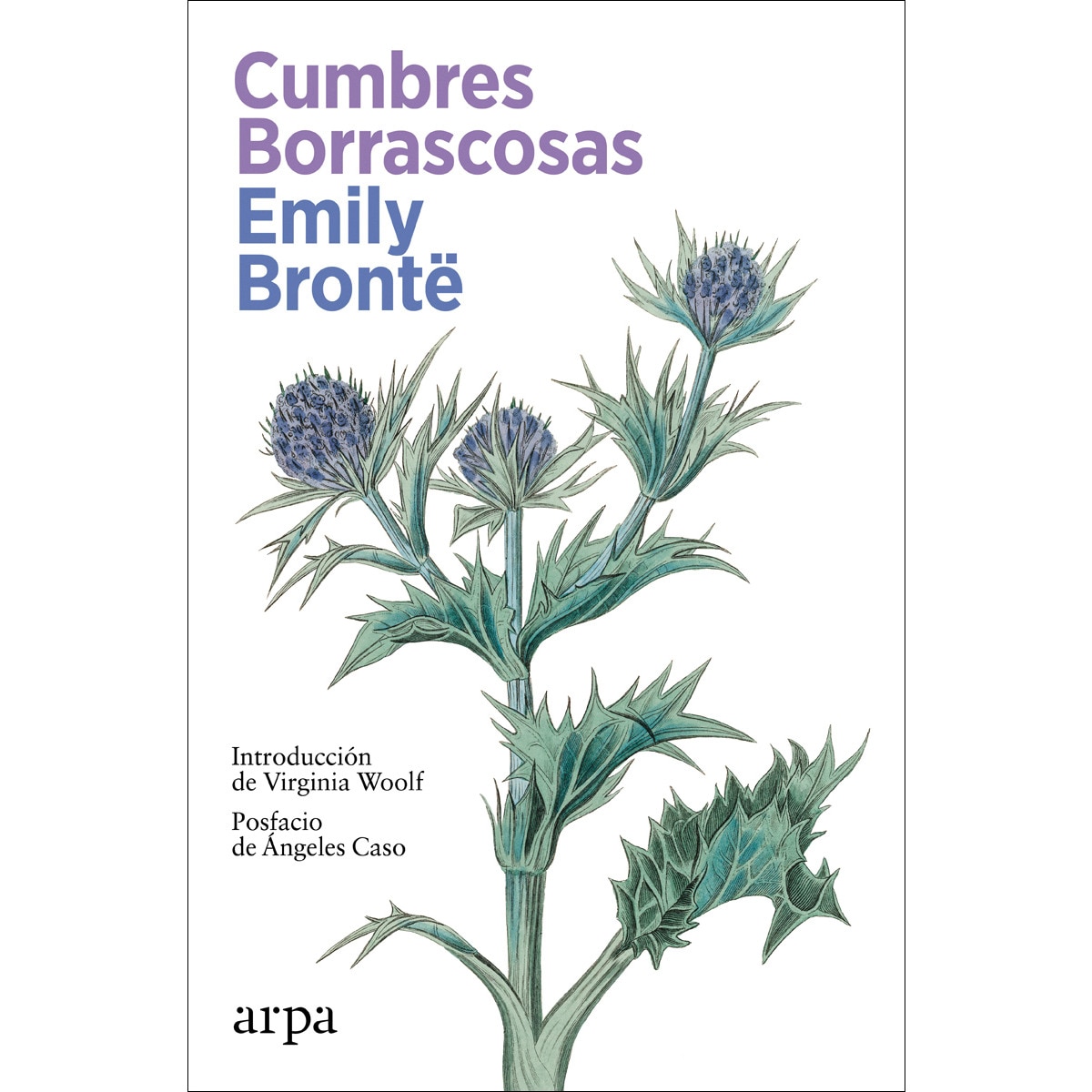 Cumbres Borrascosas (Capa mole com abas) 1