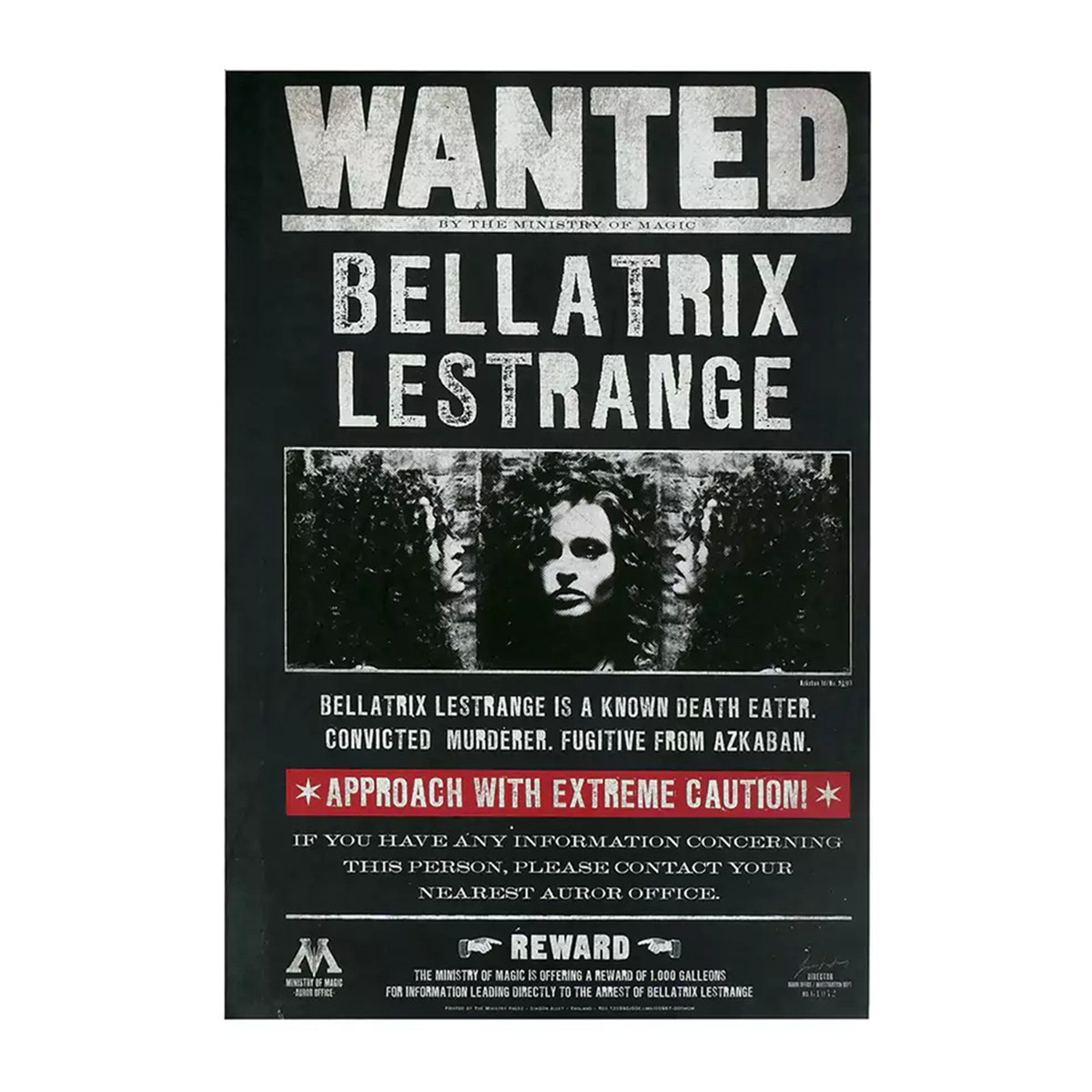 Imagem 0 de Caderno A5 Bellatrix Harry Potter Moriarte