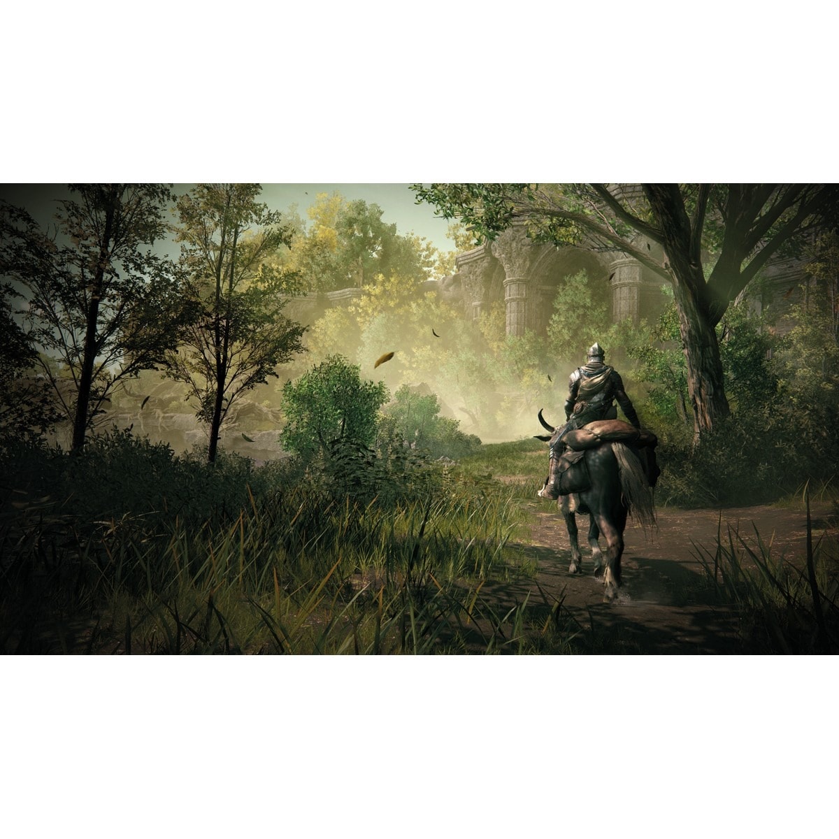 Elden Ring: Shadow of the Erdtree (Collector's Edition) - PC 9