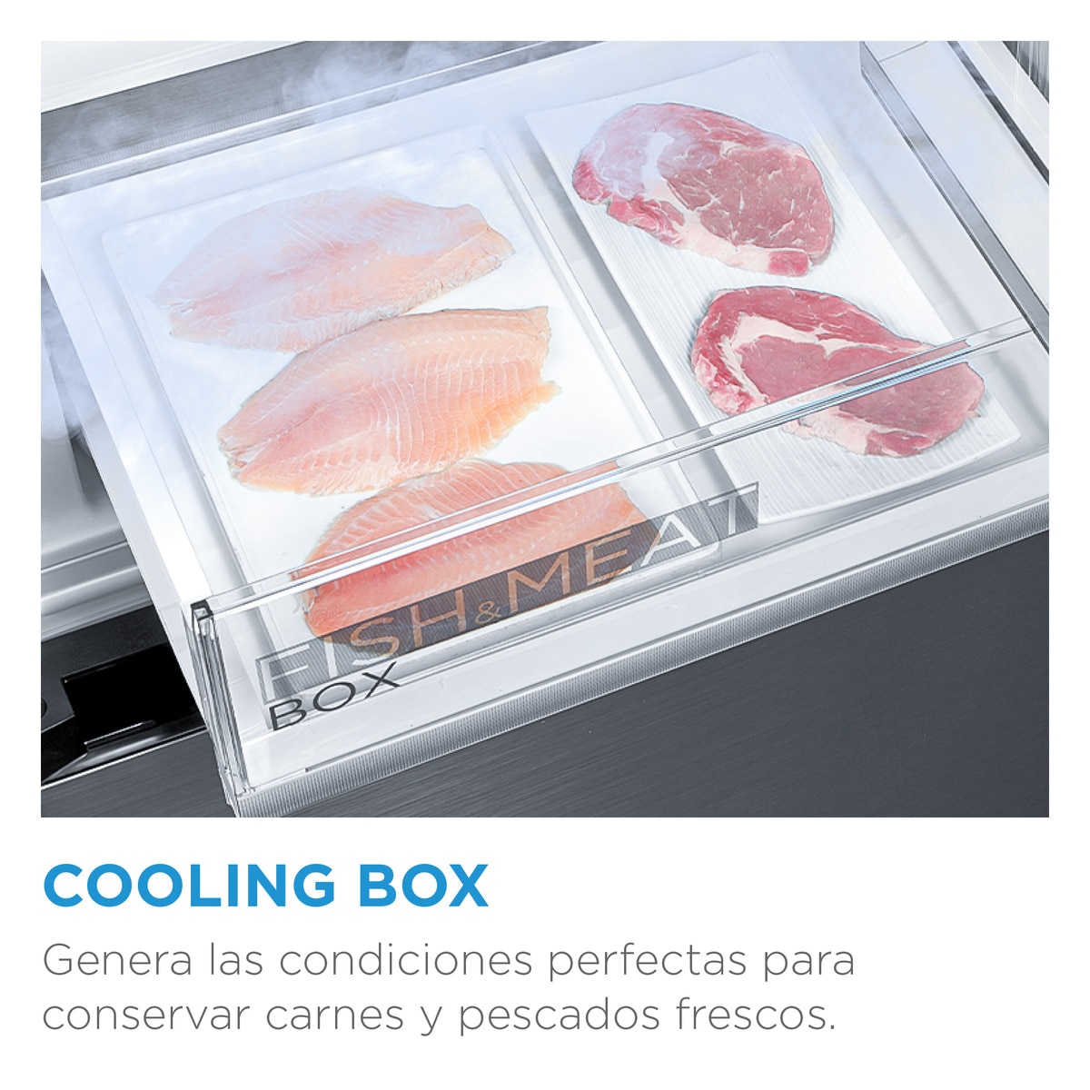 Frigorífico Combinado Midea MDRB424FGE01OE Total No Frost e de 188 cm - Branco Branco-8