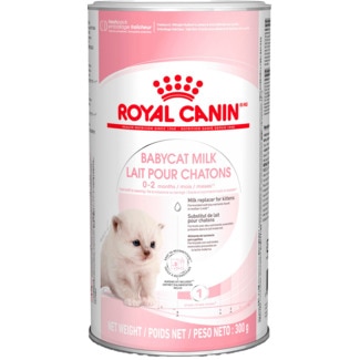 Babycat Milk embalagem 300 g - Royal Canin