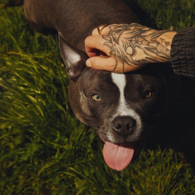 Imagen 0 de Una casa con jardín (Edición Limitada Firmada) (CD + Llavero)