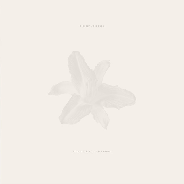 Imagen 0 de Body of light I am cloud (2L P-Vinilo)