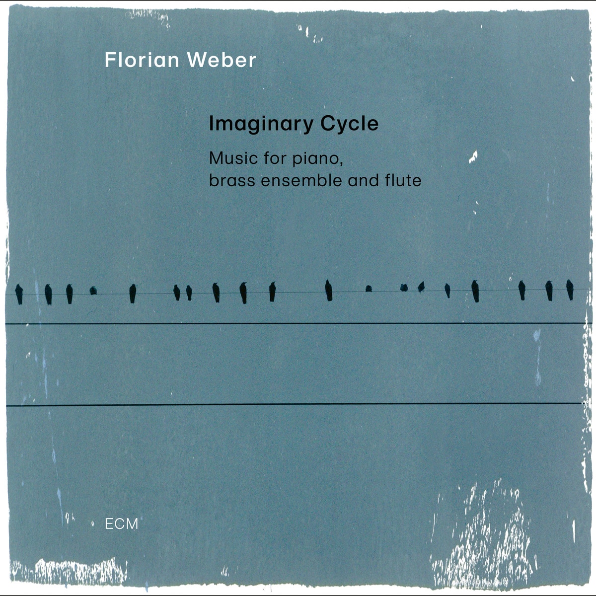 Imaginary Cycle (2 LP- Vinilo) 2