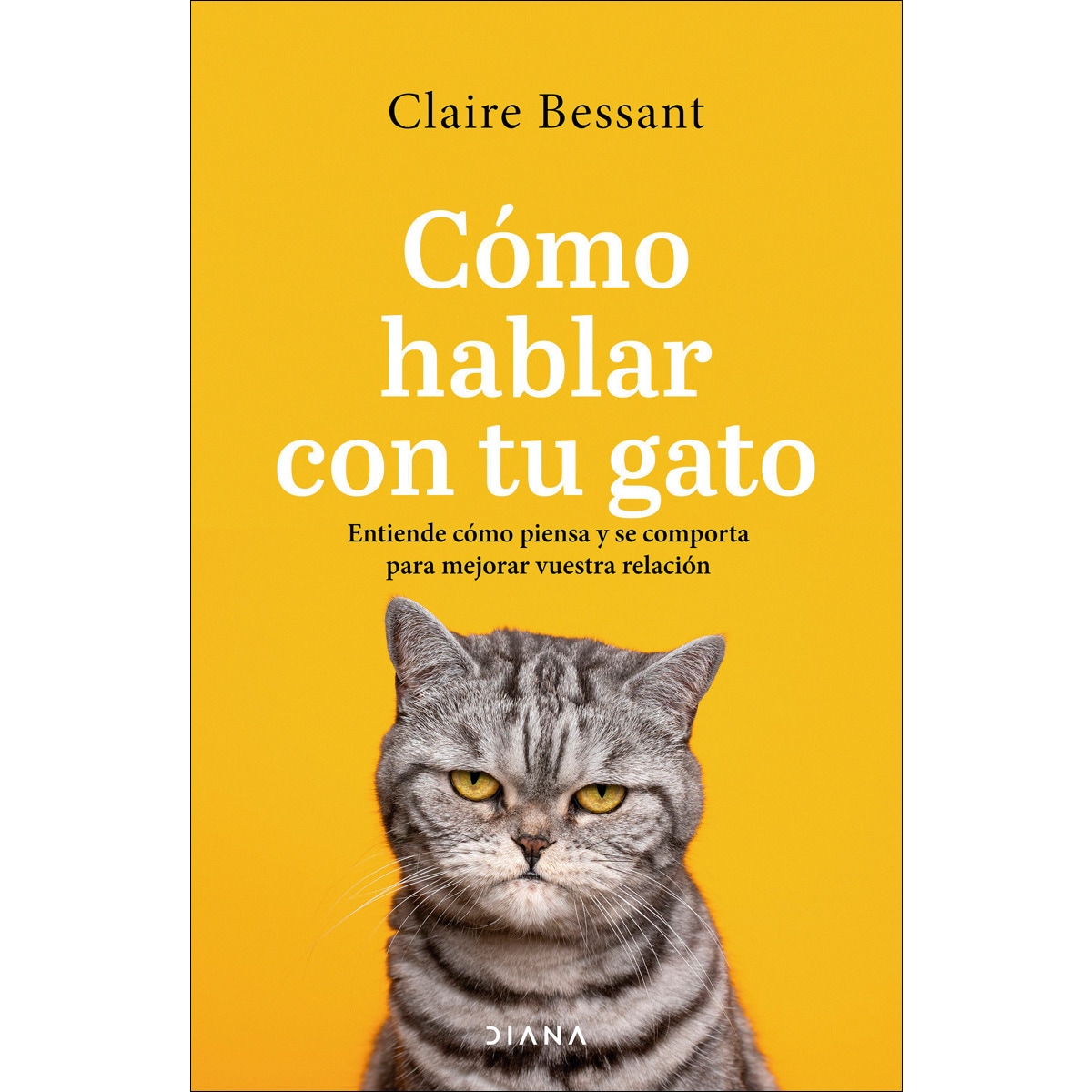 Imagem 0 de Cómo hablar con tu gato: Entiende cómo piensa y se comporta para mejorar vuestra relación (Capa mole com abas)
