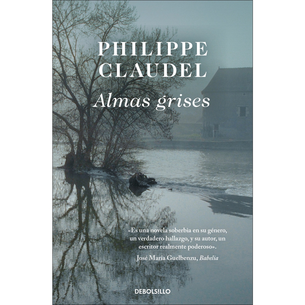 Imagem 0 de Almas grises(Bolsillo) (Tapa blanda)