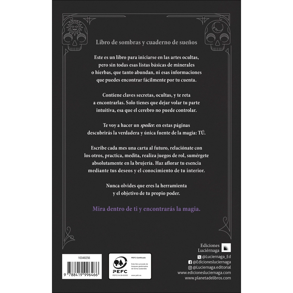 Wish Notebook: Diario de lo oculto (Capa mole com abas) 2
