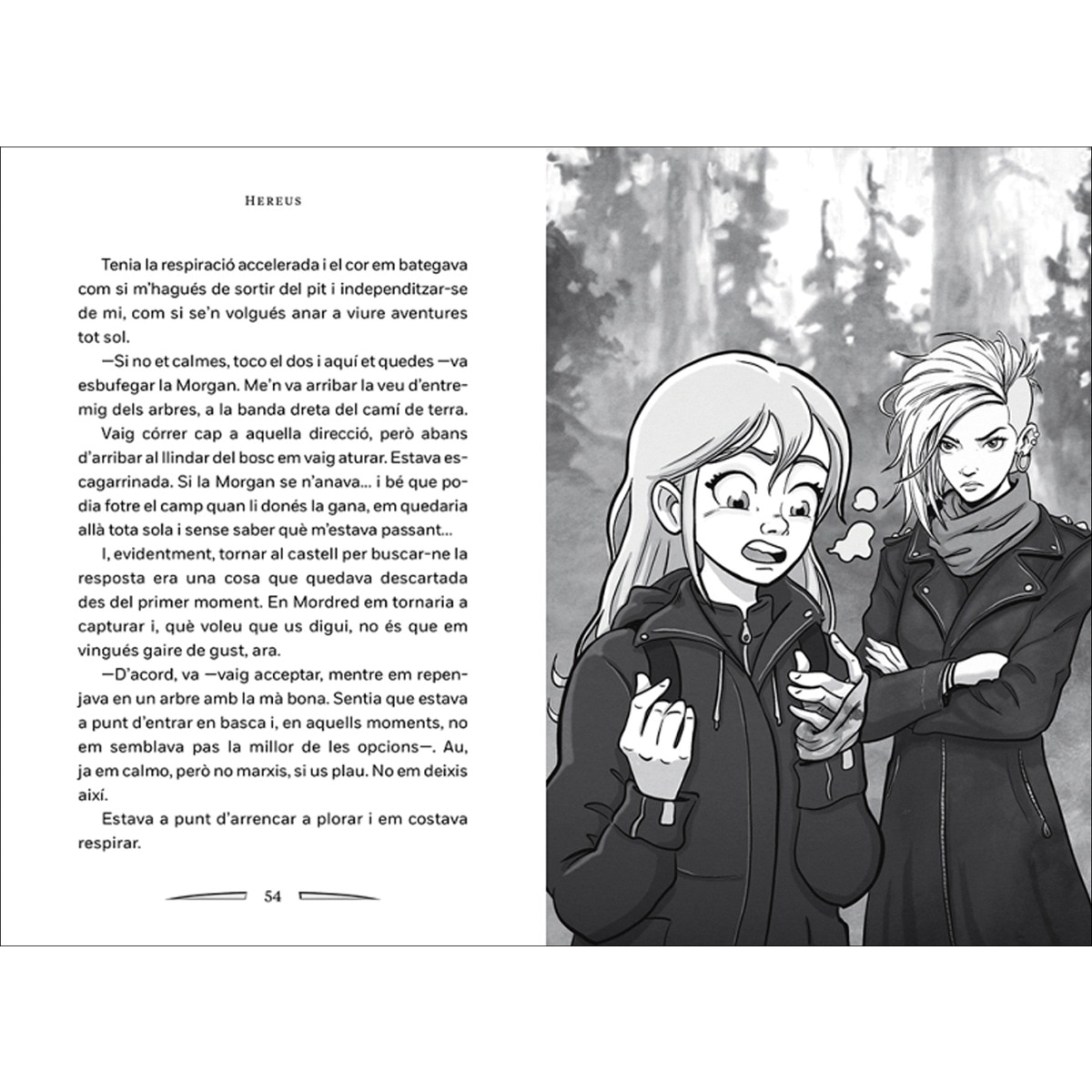 La pedra del destí (Hereus,2) (de l'Univers Amanda Black) (Tapa dura) 7