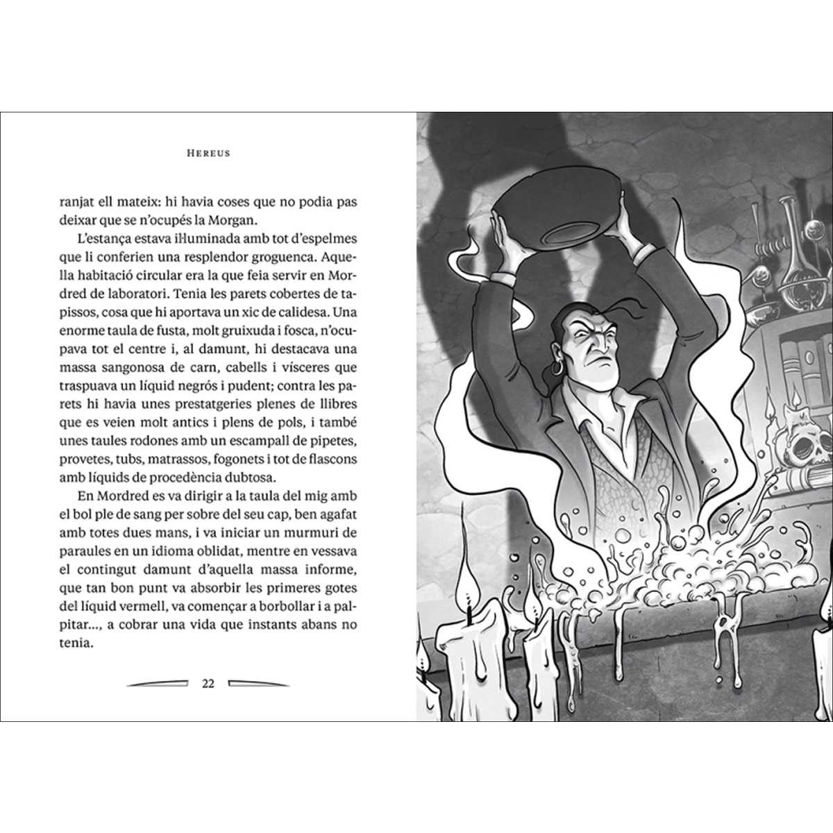 La pedra del destí (Hereus,2) (de l'Univers Amanda Black) (Tapa dura) 5