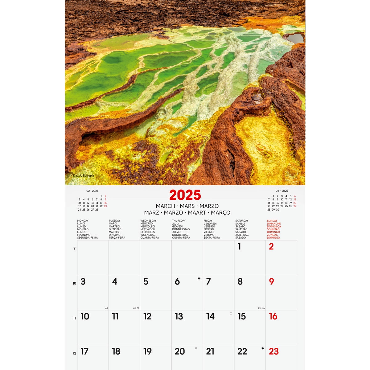 Calendario parede ano 2025 Imagens 300x300 mm Nature Finocam internacional multilingue Multicolor-3