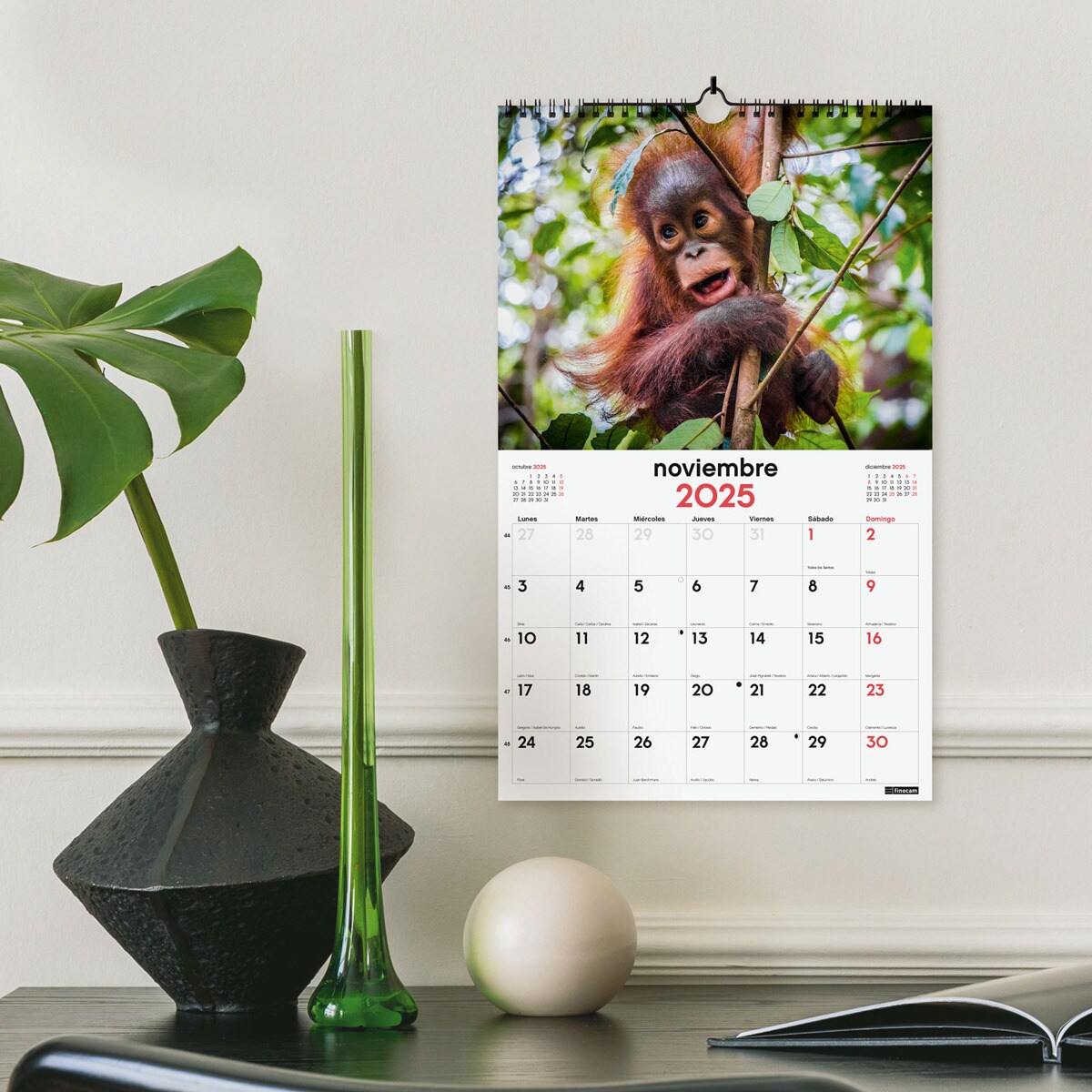 Calendario pared año 2025 Imágenes 250x400 mm Fauna Salvaje Finocam Multicolor-2