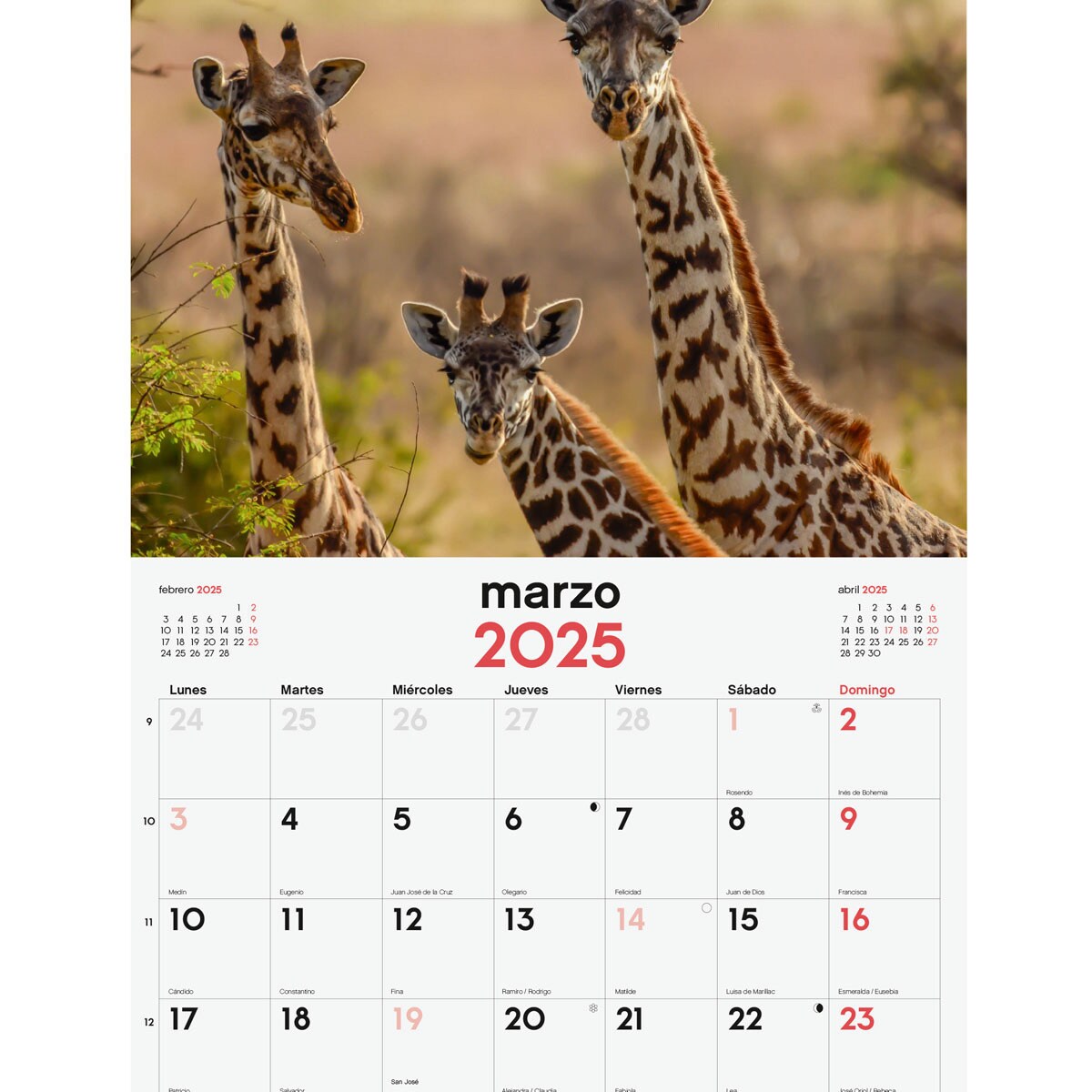 Calendario pared año 2025 Imágenes 250x400 mm Fauna Salvaje Finocam Multicolor-3