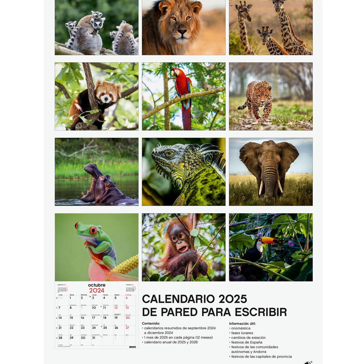 Calendario pared año 2025 Imágenes 250x400 mm Fauna Salvaje Finocam Multicolor-4