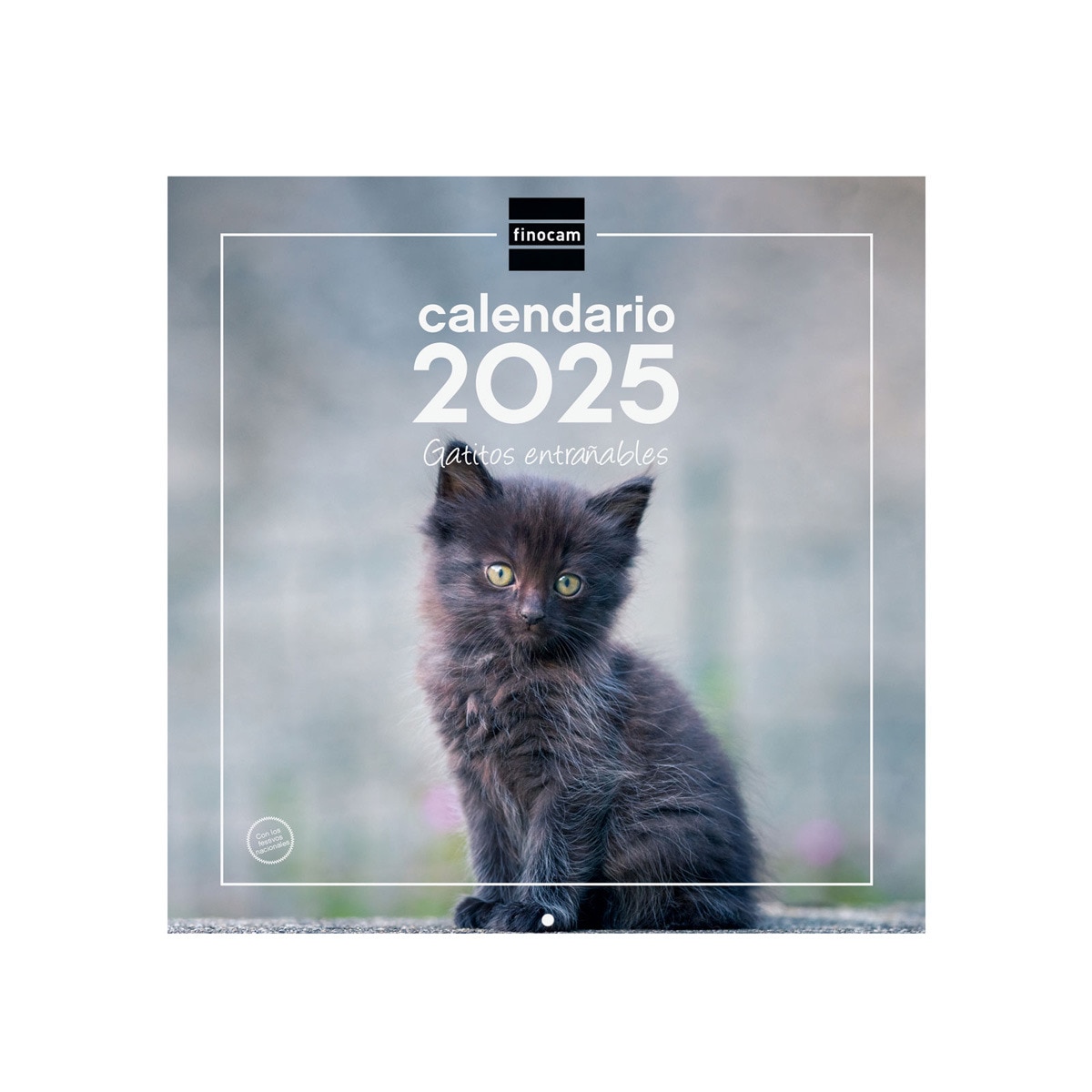 Calendario parede ano 2025 Imagens 300x300 mm Gatitos Finocam Multicolor-1