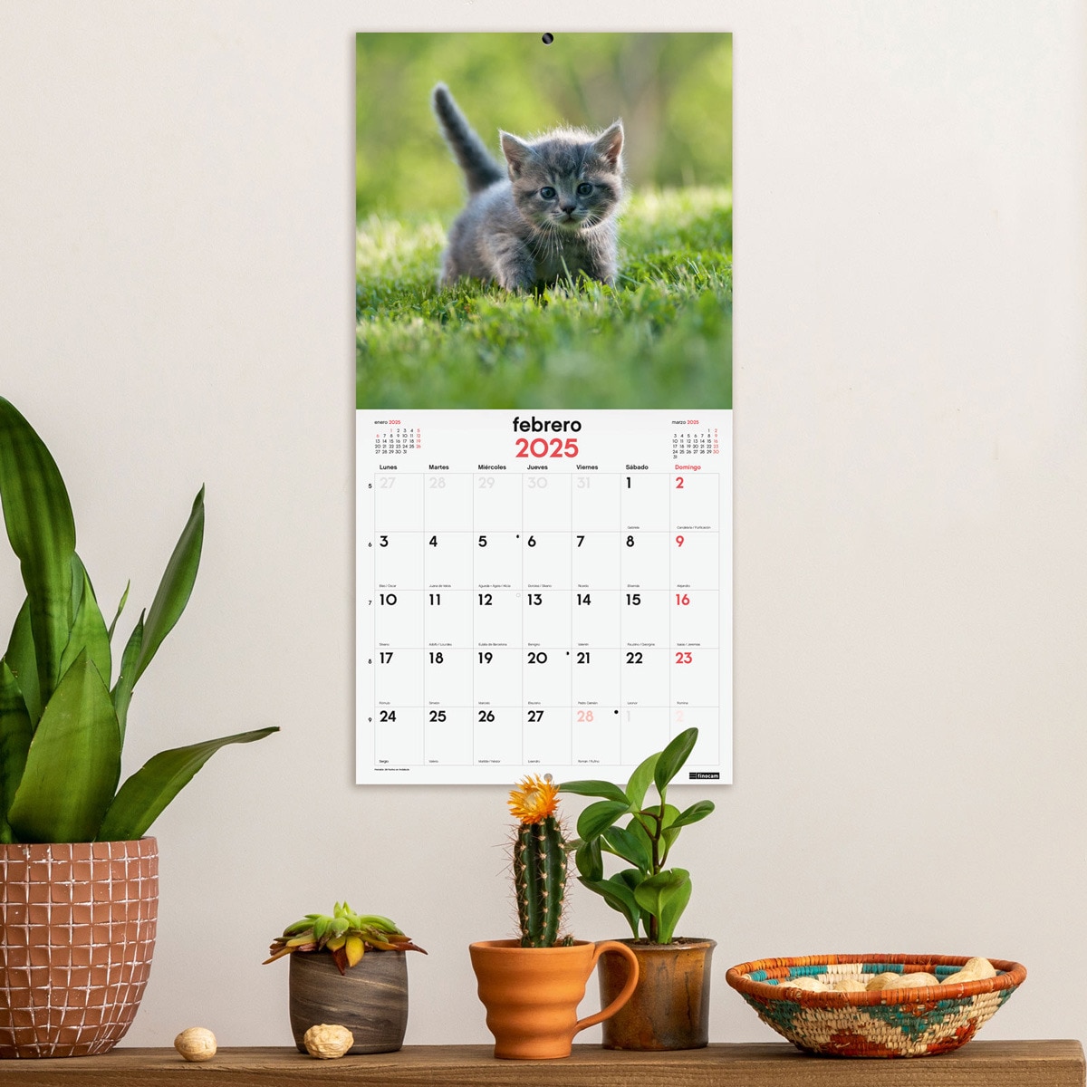 Calendario parede ano 2025 Imagens 300x300 mm Gatitos Finocam Multicolor-2