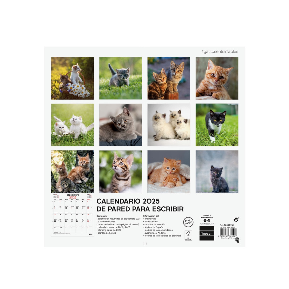 Calendario parede ano 2025 Imagens 300x300 mm Gatitos Finocam Multicolor-4
