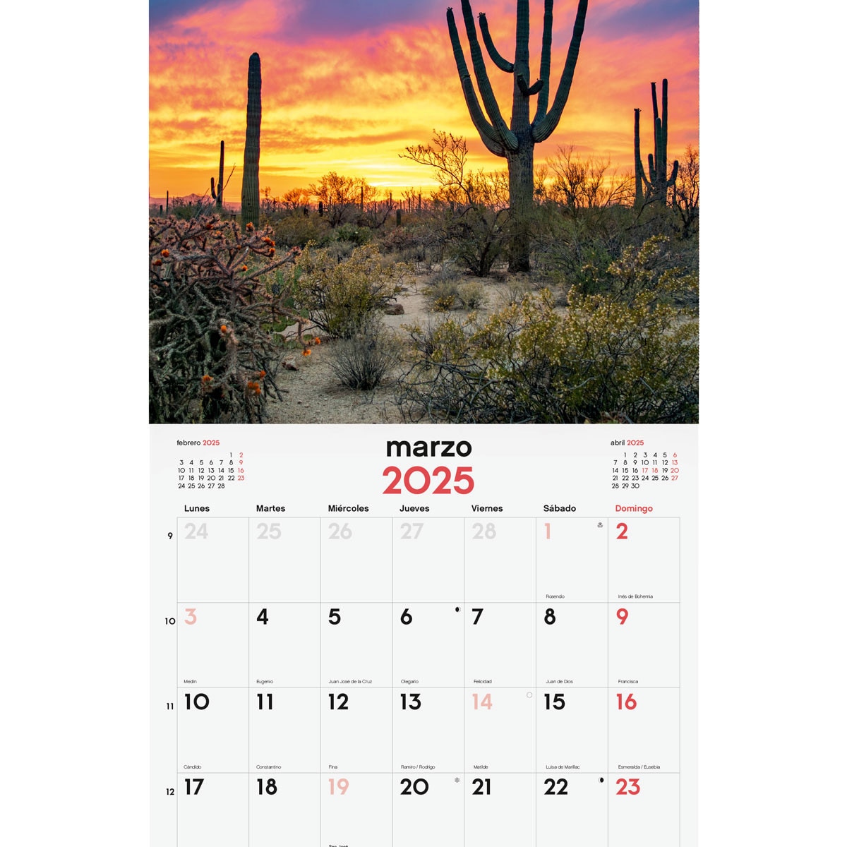 Calendario parede ano 2025 Imagens 300x300 mm Atardeceres mágicos Finocam Multicolor-3