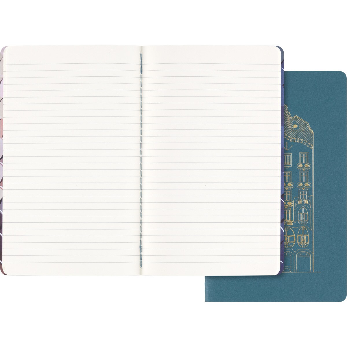 Conjunto de 2 blocos cahier folhas grandes lisas edição limitada Casa Batlló Moleskine multicolorido Multicolor-3