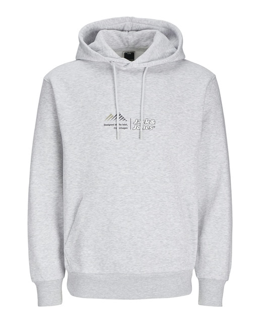 Imagen 0 de Sudadera con capucha mangas largas con bordado frontal de hombre