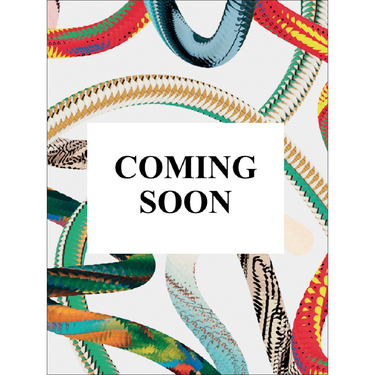 Imagem 0 de Marvin E. Newman. Photographs 1949&1983 (Capa dura)