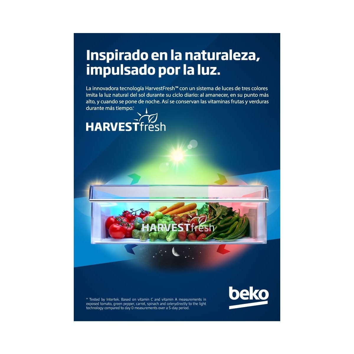 Frigorífico combi Beko NeoFrost, Harvest Fresh - B7RCNE407HXB Inox-20