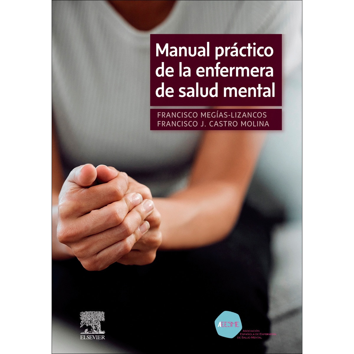 Manual práctico de la enfermera de salud mental (Capa mole) 1