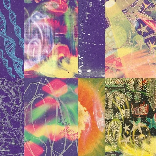Imagen 0 de The neon gate (CD)